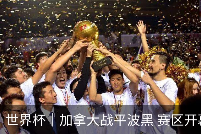 世界杯｜加拿大战平波黑 赛区开幕式表演“翻车”